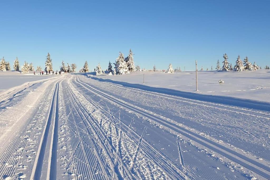 Leilighet Med Panoramautsikt Sjusjoen Innendors Parkering Екстериор снимка